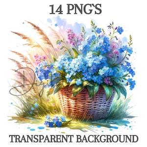 Clipart aquarelle de myosotis 14 PNG panier floral en téléchargement numérique techniques mixtes papier numérique artisanat fleur impressions journaux indésirables