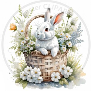 Osterhase 16 hochwertige JPGs, Ostern Clipart, Frühling Clipart, digitaler Download, Scrapbuch, digitales Papier, Digitaldrucke, Junk Journal