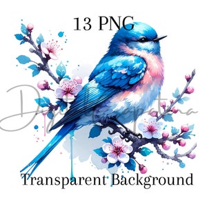 Aquarelle oiseau bleu Clipart 13 PNG en téléchargement numérique animaux de la forêt oiseau technique mixte artisanat en papier numérique Illustration numérique floral