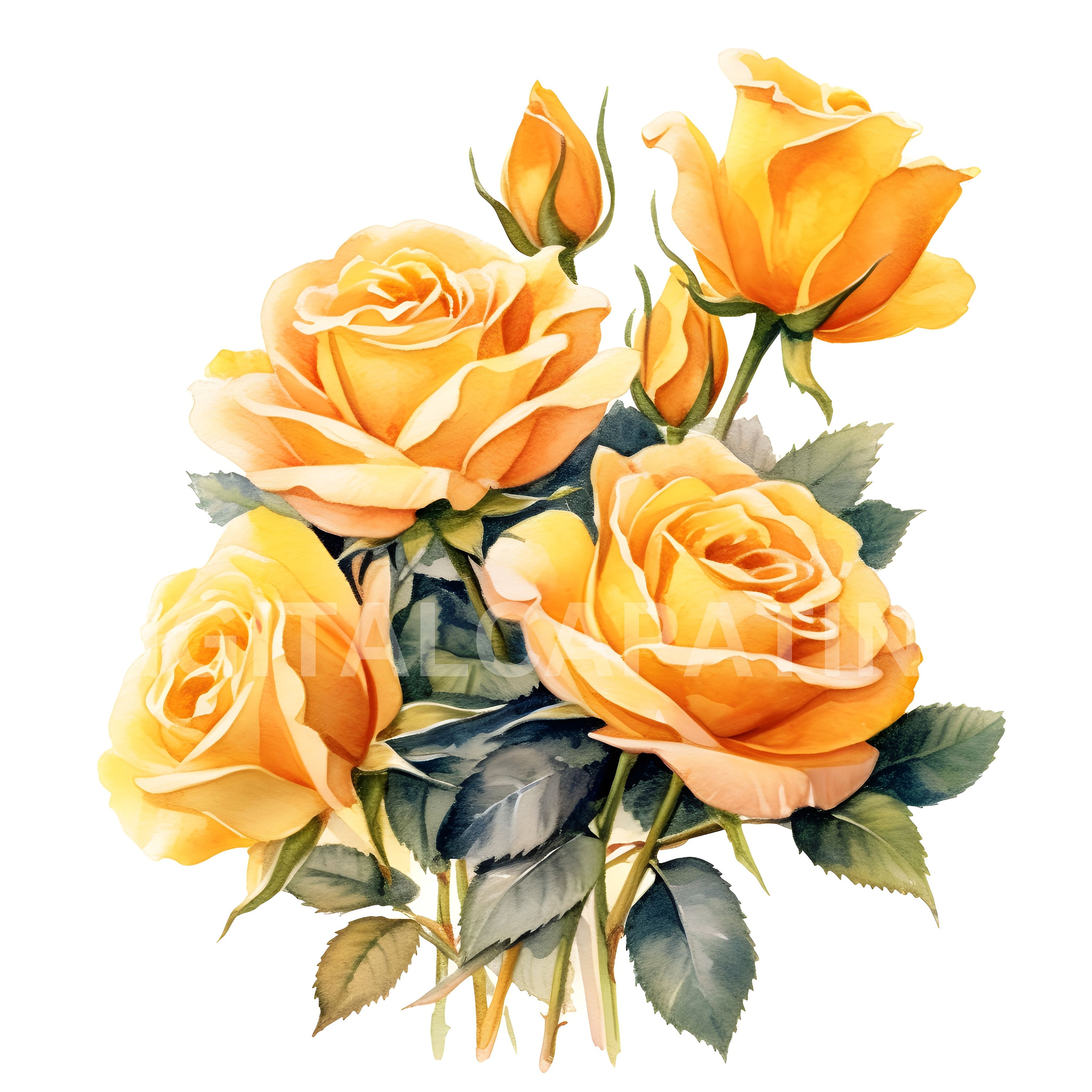 Yellow Roses Download Yellow Roses Clipart 10 High Quality Jpgs, Digital Downloads,wedding ...