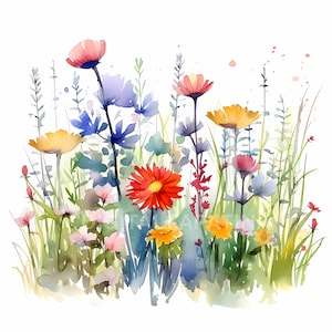 Wildblumen Clipart 9 hochwertige JPGs, Wildblumen Digital Download, Aquarell Clipart, Kartenherstellung, Mixed Media, digitales Papier