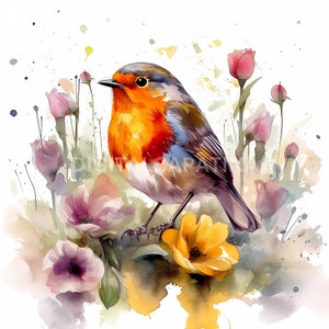 Rotkehlchen Vogel Clipart 12 Hochqualitative JPGs, Digitaler Download, Kartenherstellung, Mischtechnik, Digitales Papiermodell, Digitale Illustration, Aquarell