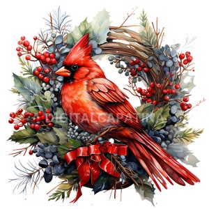 Cardinal rouge de Noël 11 images JPG de haute qualité, téléchargement numérique, usage commercial, fabrication de cartes, créations numériques en papier, joyeux Noël