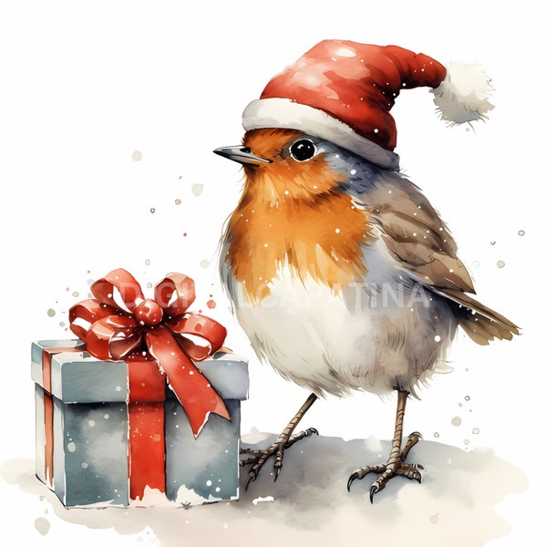 Christmas Robin Clipart 15 JPG de alta calidad, Descarga digital, Uso comercial, Fabricación de tarjetas, Artesanía de papel digital, Feliz Navidad