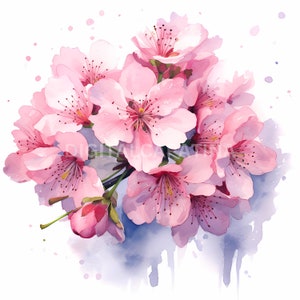 Cherry Blossom Clipart - 11 hoge kwaliteit JPG's - Digitale downloads, commercieel gebruik - 4096x4096 pixels