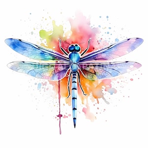 Delicate Dragonfly Clipart 9 JPGs de alta qualidade, download digital, criação de cartões, mídia mista, arte de parede, artesanato em papel digital, uso comercial