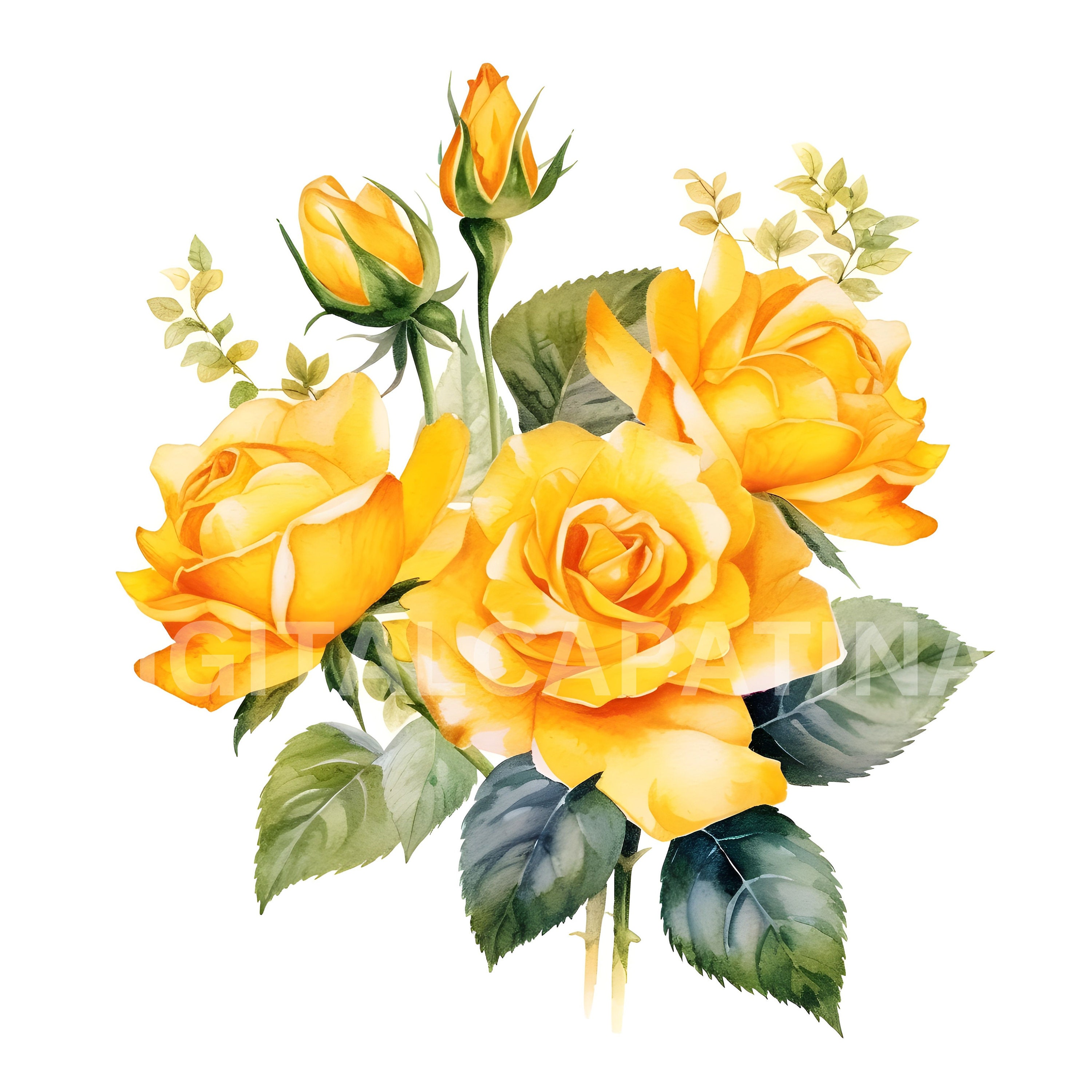 Yellow Roses Download Yellow Roses Clipart 10 High Quality Jpgs, Digital Downloads,wedding ...