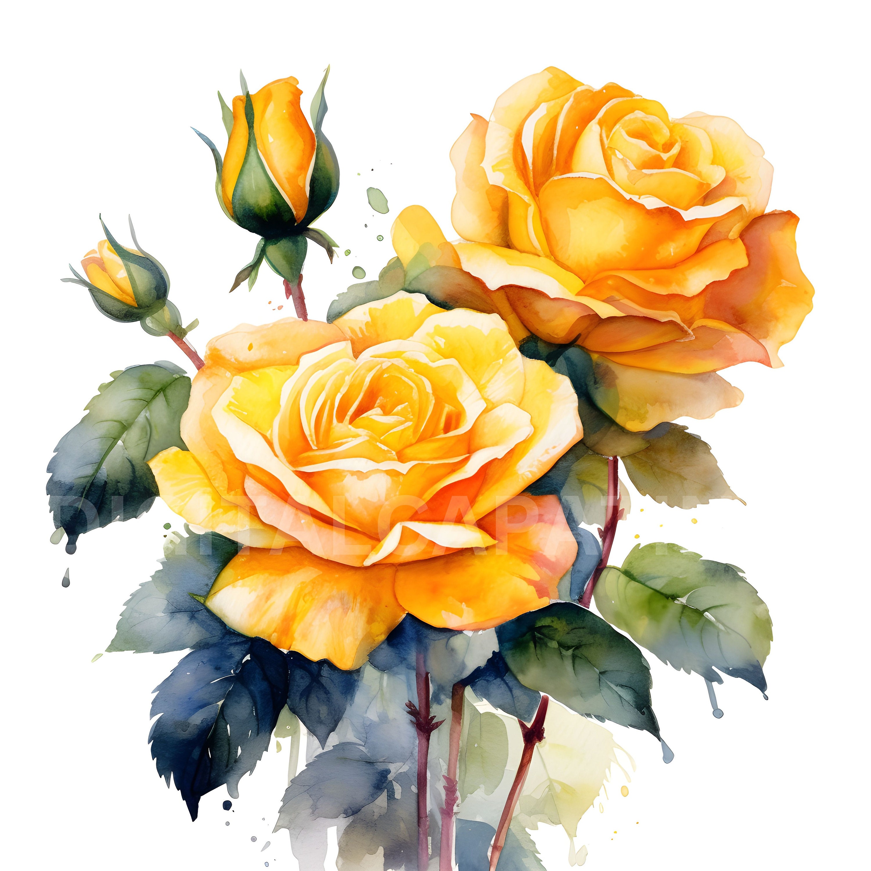 Yellow Roses Download Yellow Roses Clipart 10 High Quality Jpgs, Digital Downloads,wedding ...