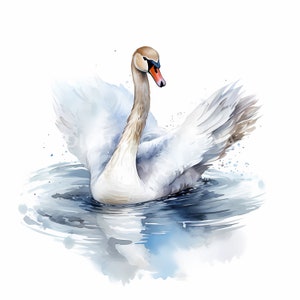 Swan Clipart 13 JPGs de alta calidad Wedding Clipart Digital Download Card Making Mixed Media Digital Paper Craft Bird Clipart Productos digitales