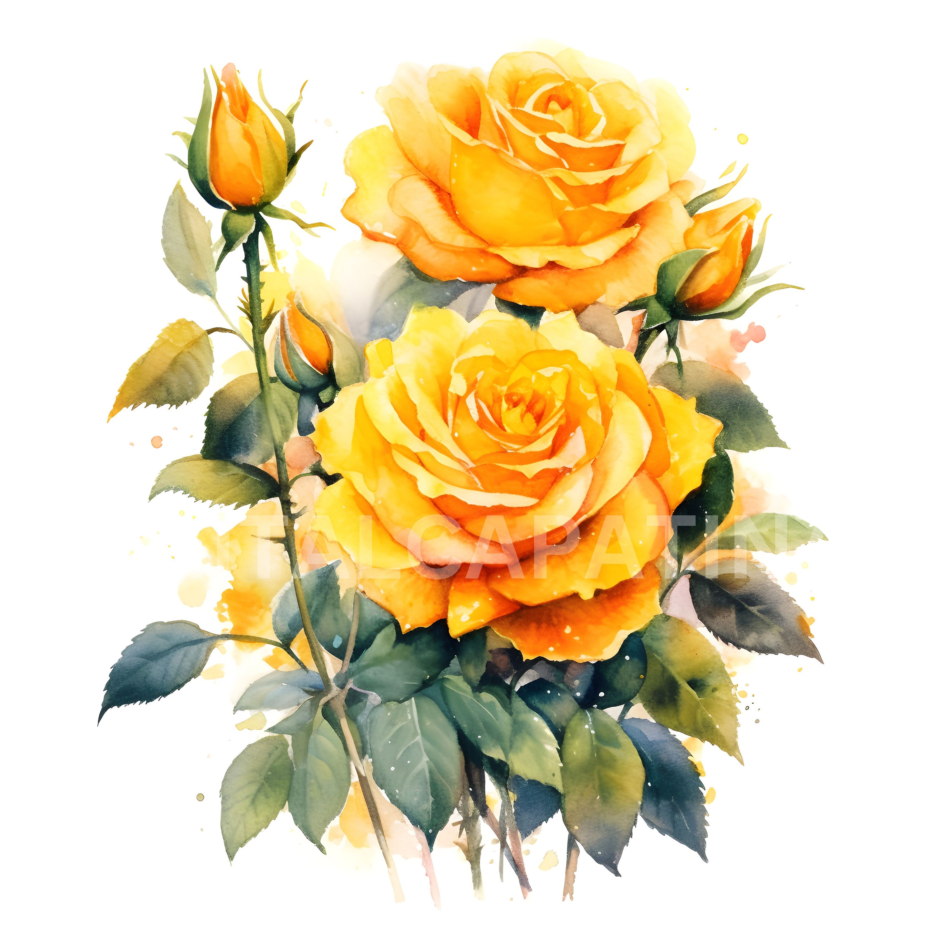 Yellow Roses Download Yellow Roses Clipart 10 High Quality Jpgs, Digital Downloads,wedding ...