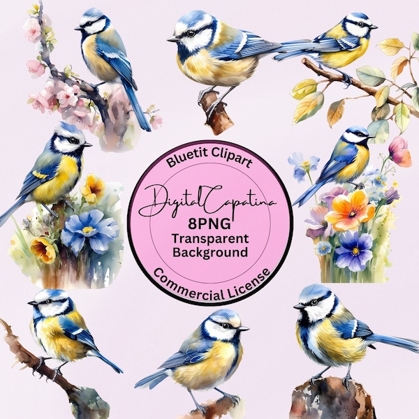 Bluetit Clipart 8 PNG, Digital Download, Watercolor Clipart, Mixed Media Art, Commercial License, Digital Prints, Digital Clipart