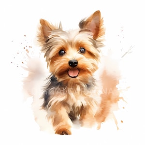 Chiot Yorkie Clipart 18 fichiers JPG de haute qualité, téléchargement numérique, usage commercial, fabrication de cartes, clipart, créations numériques en papier