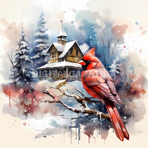 Weihnachten Kardinal rot Clipart 14 hohe Qualität JPGs, digitaler Download, kommerzielle Nutzung, Kartenherstellung, digitale Papiermodelle, frohe Weihnachten