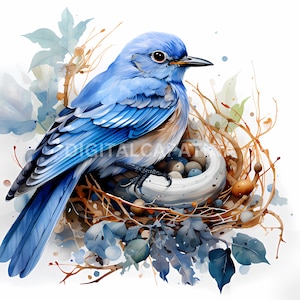 Blauer Vogel Clipart 17 Hochqualitative JPGs, Digitaler Download, Kartenherstellung, Mixed Media, Digitales Papiermodell, Digitale Illustration, Aquarell
