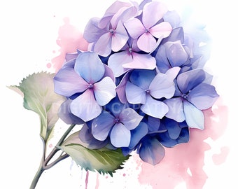 Hydrangea Clipart - 12 High Quality JPGs - Digital Downloads, Commercial Use - 4096x4096 Pixels