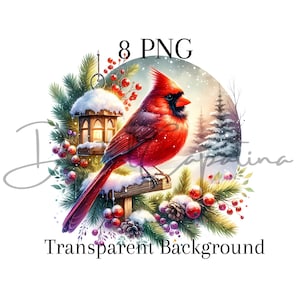 Weihnachten Rot Kardinal Clipart 8 PNG digitaler Download, kommerzielle Nutzung, Kartenherstellung, digitales Papiermodell, frohe Weihnachten Sublimation