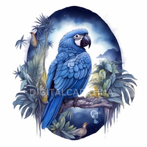 Blue Parrot Jungle Frame Clipart 9 wysokiej jakości plików JPG, pobieranie cyfrowe, tworzenie kartek, media mieszane, cyfrowe rzemiosło papiernicze, ilustracja cyfrowa
