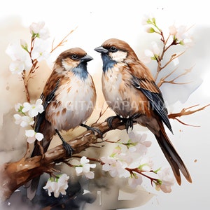 Sparrow Bird Clipart 14 JPG di alta qualità, Download digitale, Creazione di cartoline, Supporti misti, Mestiere con carta digitale, Illustrazione digitale, Acquerello
