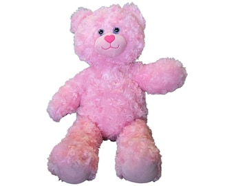 16" Build-a-Bear BAB Pink Cuddles Teddy Bear Swirl Fur