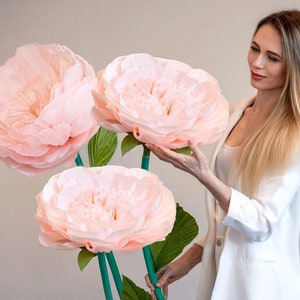 Rosa inglese gigante fai da te - Rosa David Austin rosa: 3 modelli + guida ai materiali + video tutorial / Fiori giganti fai da te per l'arredamento della casa