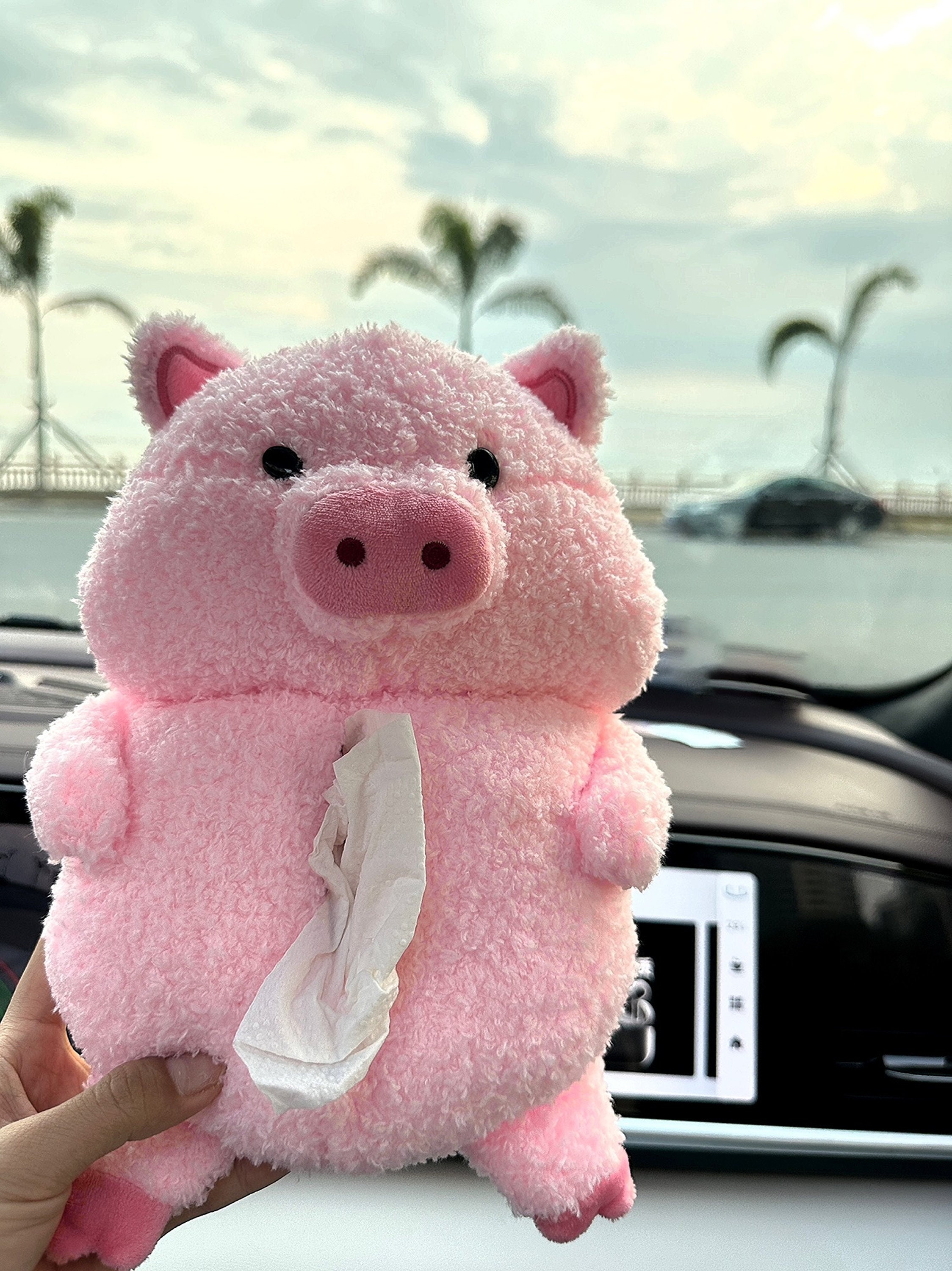 Cute car cheap tissue holder