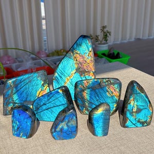 Könnte beinhalten: Eine Sammlung von acht Labradorit-Kristallproben in verschiedenen Formen und Größen. Die Kristalle sind tiefblau mit schillernden Farbeffekten.