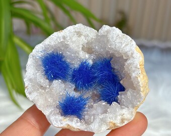 ブルーアゲートジオード il_340x270.6759361101_cxyv.jpg