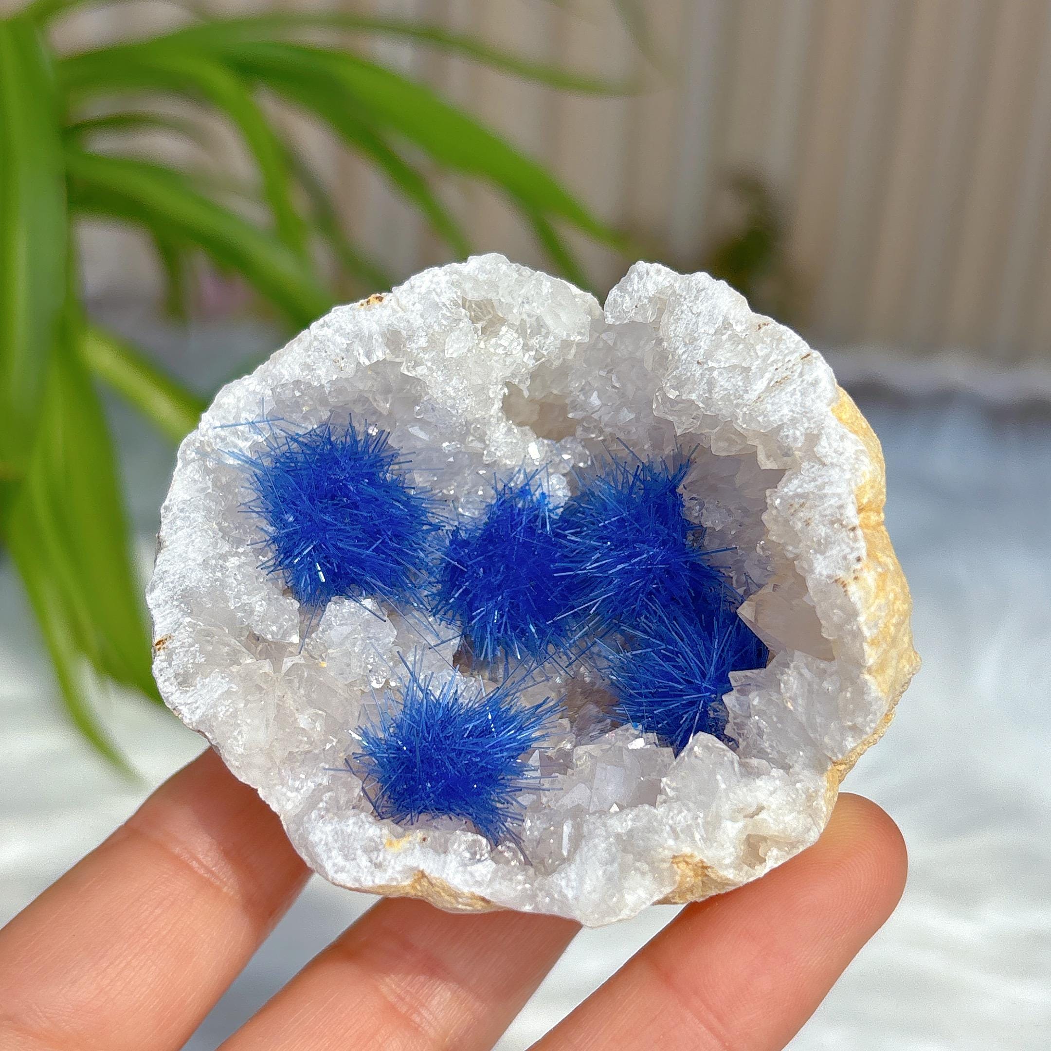 ブルーアゲートジオード il_fullxfull.6759361101_cxyv.jpg