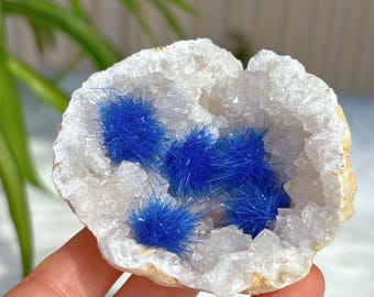 ブルーアゲートジオード il_340x270.6759360209_l40y.jpg