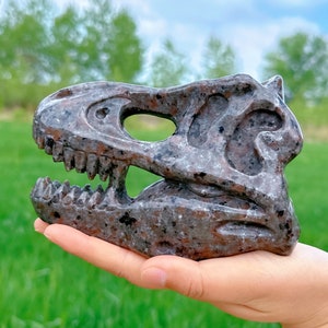 Yooperlite Dragon Skull,Crystal T-rex Skull,Reiki Healing,Home Decoration,Crystal Skull,Crystal Energy,Crystal Gifts