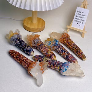Könnte beinhalten: Mehrere bunte Maiskolben mit Quarz-Kristall-Akzenten liegen auf einer weißen Oberfläche. Die Maiskörner sind in Rot-, Lila-, Gelb- und Blautönen gehalten. Ein kleines Schild trägt die Aufschrift "Fall in love with as many things as possible."