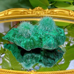 May include: A green malachite rock with two white, fluffy, crystal clusters on top. The rock is sitting on a gold-colored, ornate, oval-shaped tray.