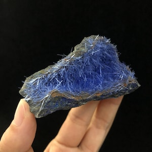 May include: A blue, fibrous mineral specimen with a rough, natural texture. The mineral is arranged in a cluster of long, thin crystals, creating a visually interesting and unique piece.