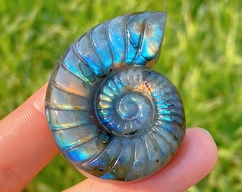 May include: A carved labradorite gemstone in the form of a nautilus shell, exhibiting a swirling pattern. The shell's colours include blue, green, and gold. The gemstone is held by a finger against a blurred green background.