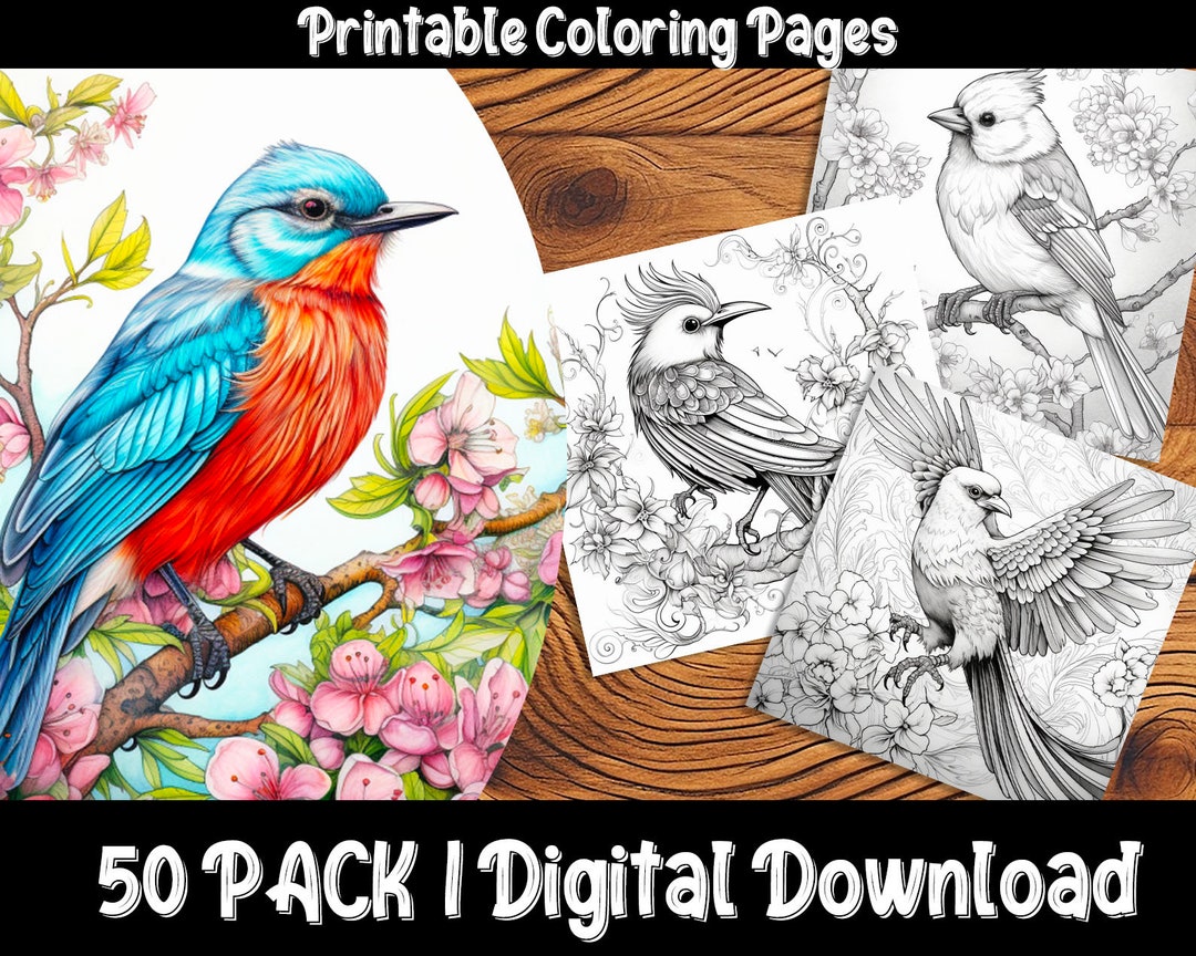 Bird-themed Coloring Pages: Engaging and Relaxing Activity for All Ages