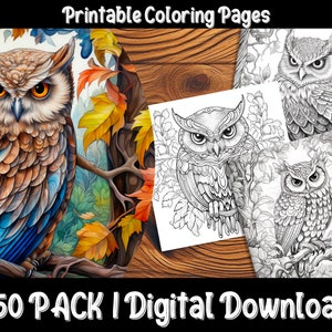 Owl Wonderland Coloring Pages - 50 Pack of Fun & Complex Owl Coloring Pages for All Ages!