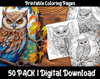 Owl Wonderland Coloring Pages - 50 Pack of Fun & Complex Owl Coloring Pages for All Ages!