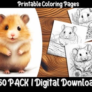 Hamster Coloring Pages: Dive into the Cute World of Hamsters with Our Fun and Easy-to-Color Designs
