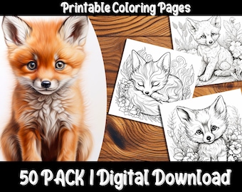 Baby Fox Coloring Pages: Discover the Charm of the Forest with Our Adorable and Easy-to-Color Fox Designs