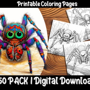 Spider Coloring Pages: Explore the Intricate World of Spiders with Our Detailed and Easy-to-Color Spider Designs