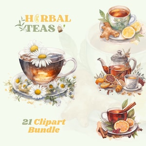 Pacote de clipart de chás de ervas em aquarela, clipart de verão, primavera, aconchegante, ervas saudáveis, limão, canela, ervas, formato png, download instantâneo
