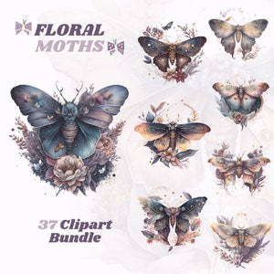 Aquarell Blumen Motte Clipart Bündel, Fantasy Clipart, magische Clipart, mythische Clipart, Blumen Clipart, Laub, überwachsen, Blumen, png