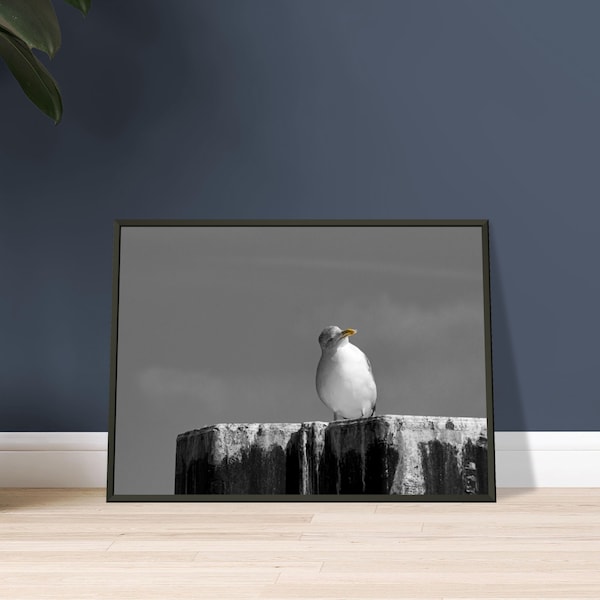 Lustige Möwe Wandbild | Fotokunst schwarz weiß | Möwe Poster | Fine Art Print | Möwe Druck auf Leinwand | Poster Möwe | Möwe Bild