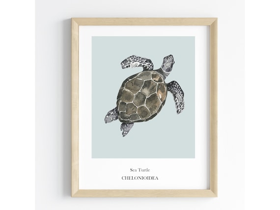 Sea Turtle Print Educational Art Marine Life Decor Classroom Wall Art Homeschooling Resource Ocean Poster Ocean wall art for kids