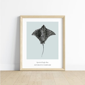 Spotted Eagle Ray Homeschool Marine Biology Educational Poster Ocean Life Classroom Decor Montessori Posters Playroom Wall Decor