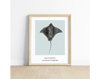 Gefleckter Adlerrochen Homeschool Meeresbiologie Lernposter Ocean Life Klassenzimmer Dekor Montessori Poster Spielzimmer Wanddekor