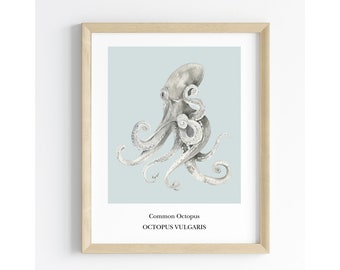 Octopus Print Octopus Printable Octopus Printable Wall Art Nautical Decor Sea Life Wand Kunst Ozean Themed Poster Unterwasser Print