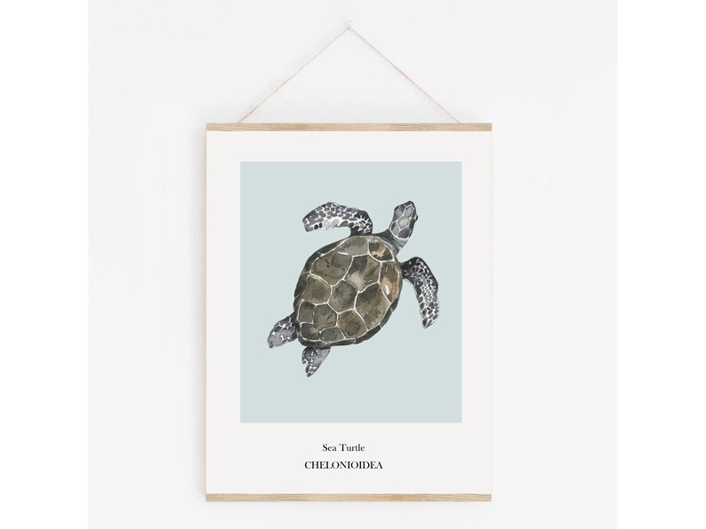 K&ouml;nnte beinhalten: Eine Aquarell-Illustration einer Meeresschildkr&ouml;te auf hellblauem Hintergrund. Der Text "Sea Turtle" und "CHELONIOIDEA" ist unter der Schildkr&ouml;te gedruckt.