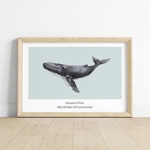 Humpback Whale Print Nautical Nursery Decor Coastal Home Ocean Inspired Wall Art Marine Life Oceanic Marine Watercolor Poster Beach House