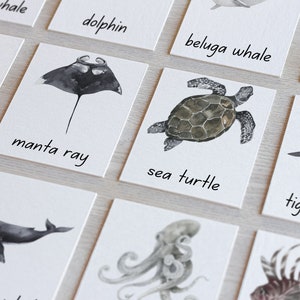 Nomenclature Montessori animal océanique Cartes de classification en 3 parties Créatures marines sous-marines Vocabulaire Outil d'apprentissage éducatif pour l'école à la maison